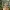 Sword Maiden – โมเดลแฟนตาซีขนาดย่อพิมพ์ 3D