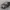 Nissan March K10 1983
