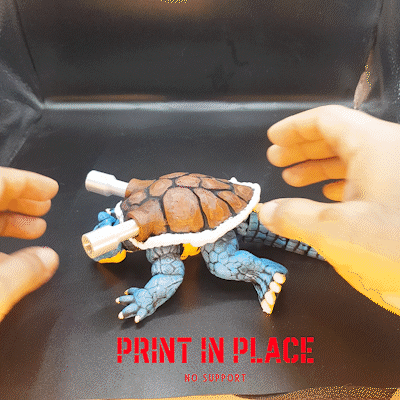 blastoise_printinplace