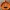 PumpkinPocket_vaciabolsillos_v1