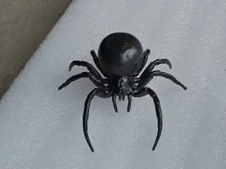 Black Widow