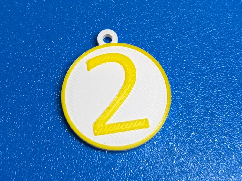 2nd Place Medal