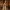 Saint Gregory the Great