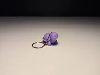 Cute Turtle