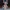 Sylveon – Urban Vibes (Mehrteilig / Kein AMS / 3MF)
