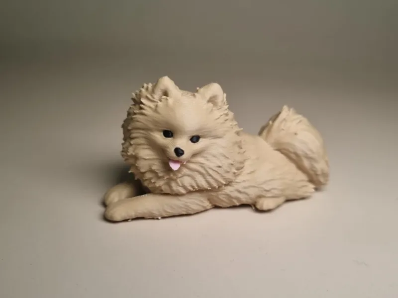 Detailed Pomeranian Dog - Realistic Miniature