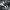 BMW E46 E39 SPORTLENKRAD UNTERER SPEICHENEINSATZ