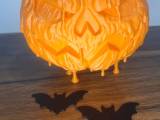 Bat-0
