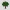 Ghraphical Tree