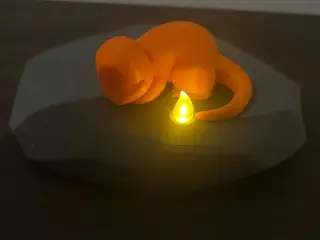 charmander on rock night light