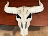 Teschio di toro-0