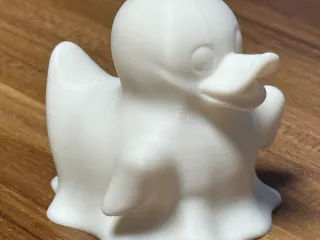 Duck Ghost