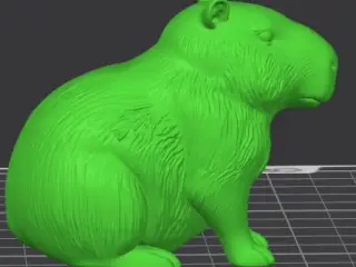 Capivara