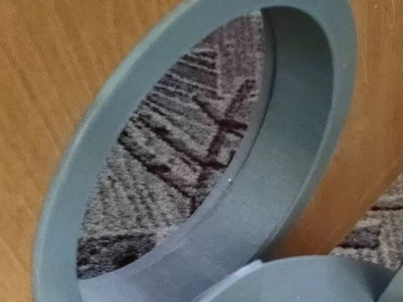 Cat door with a plug