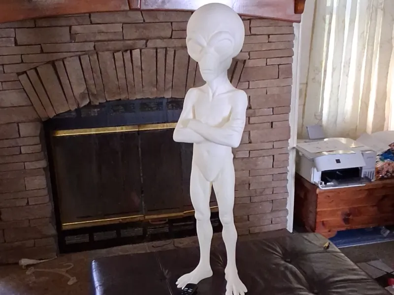 Life sized alien (3ft) wtf alien