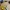 Electric Toothbrush head travel case