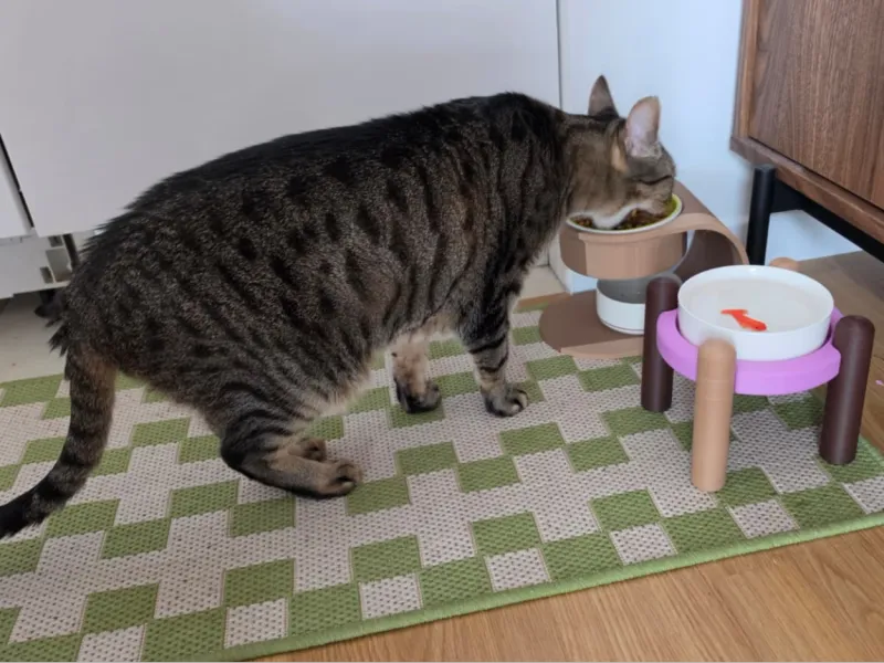 Pet food riser