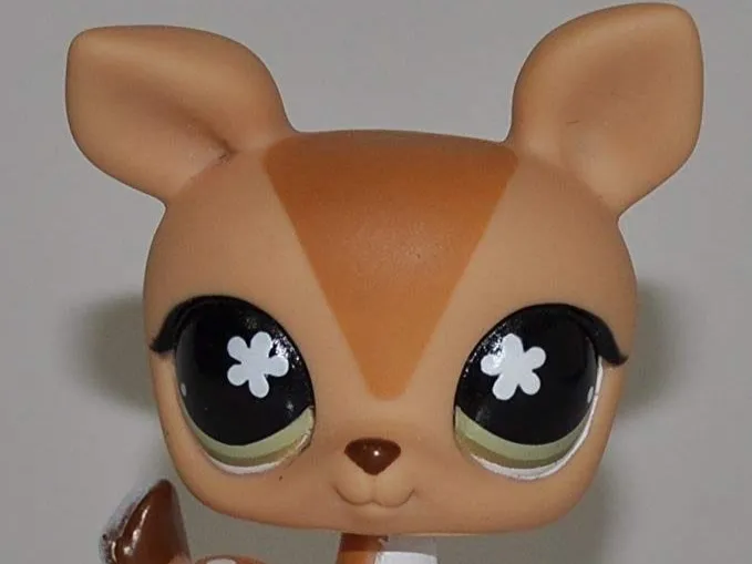 Bambi Petshop