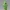 METAPOD-DESPIECE-NOAMS