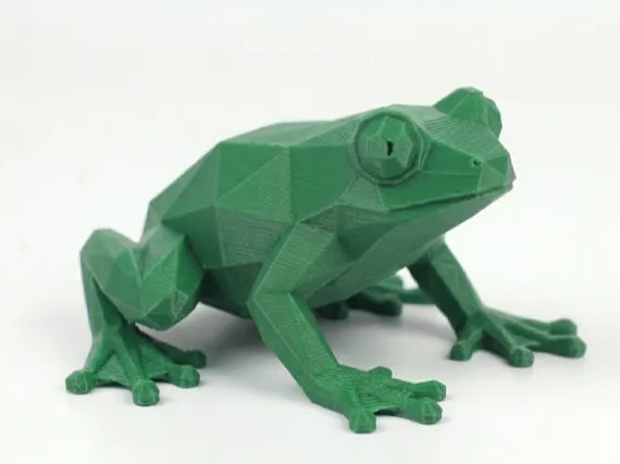 frog