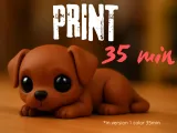 Cute Baby Dog-0
