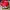 porte-crayons pokéball