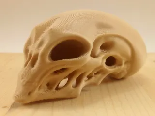 Alien Skull
