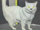 gray cat 3d model-0