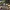 SpinBack_v08_bullet