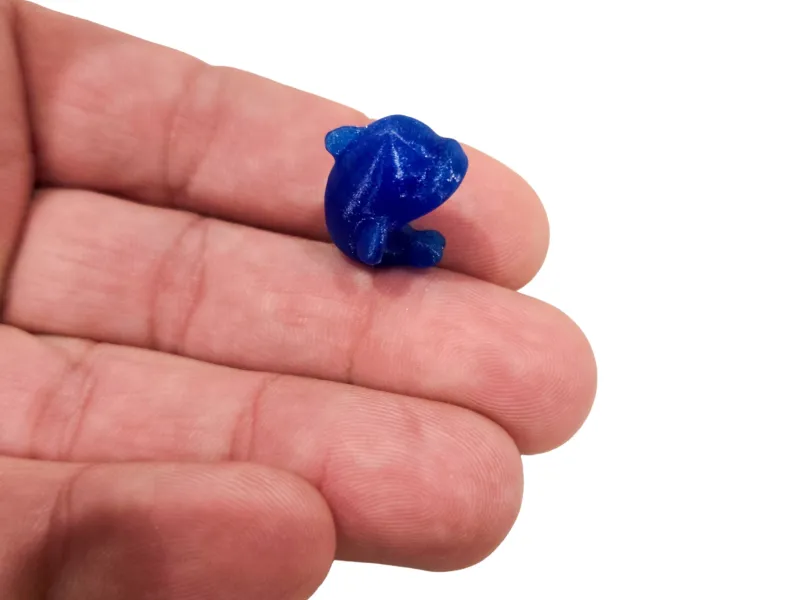 The Pocket Dolphin Mini