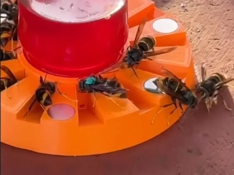 Bee Feeder And Wild Water Bar, Bait-Containing Containers Fo