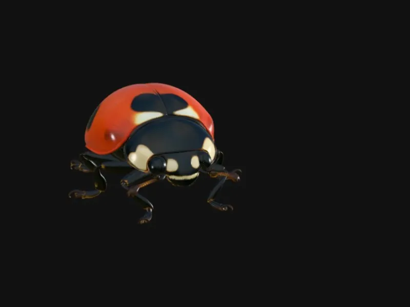 ladybug