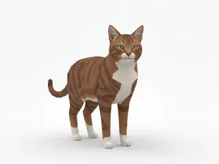 Low Poly Cat