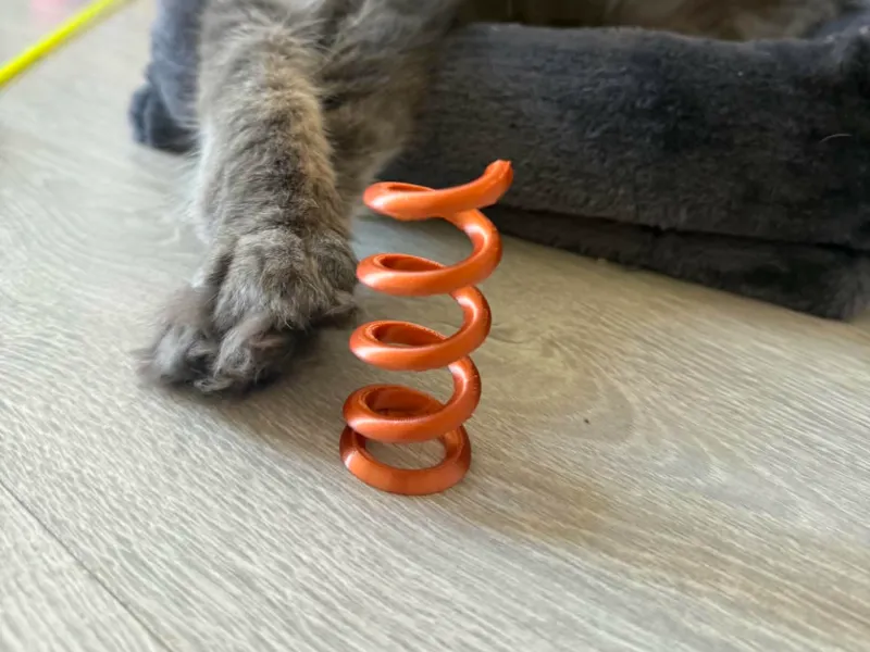 猫咪弹簧