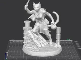 Feline_thief