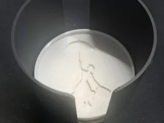 Mary Poppins Coaster