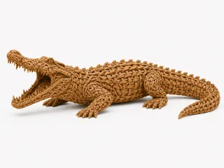 coccodrillo