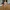 Johnny sins