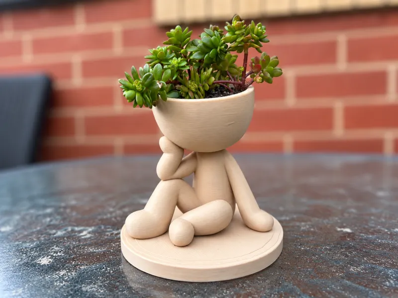 Thinking Planter