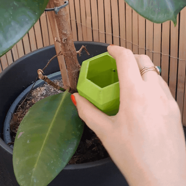 Hexagonal Plant Watering Spike for Plant Lovers