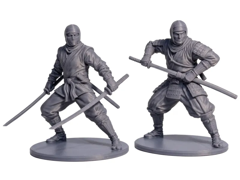 Ninja Warriors