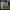 Military Forklift 3D Model – Olive Green Heavy Duty Lifter