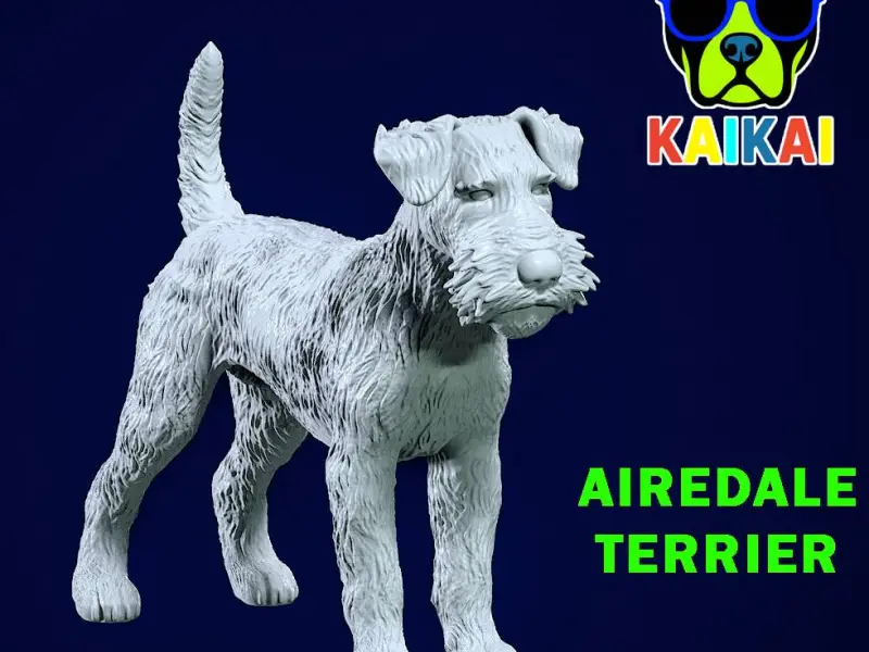 Airedale Terrier Dog model - 3D print