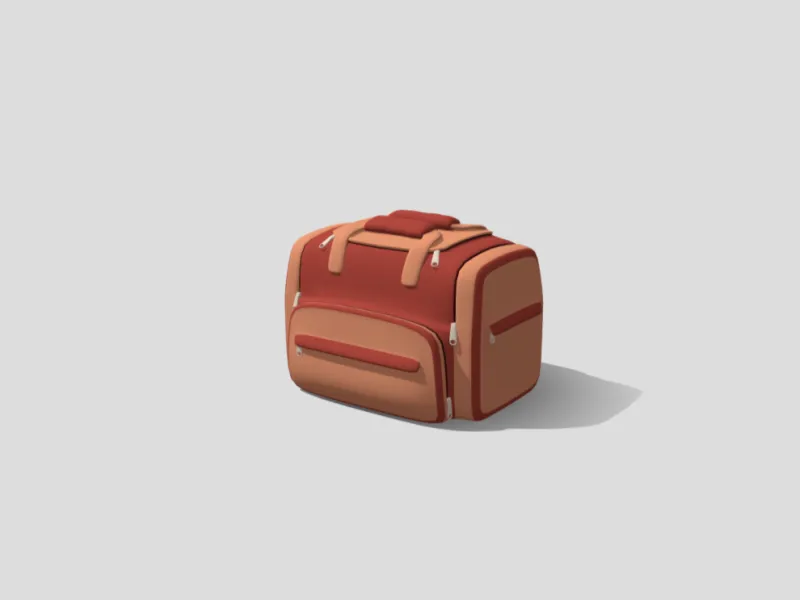 Airport Travel Bag
