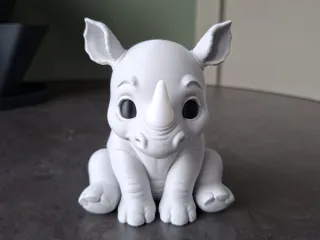 Sweet Baby Rhino