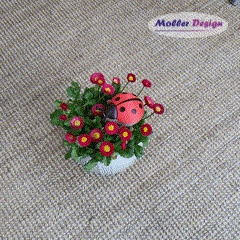 Self-watering ladybug