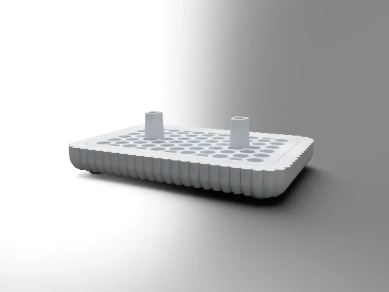 Toothbrush Holder - 2 Brushes