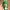Mario Yoshi Fan Art (No Ams-Multipart/3mf)