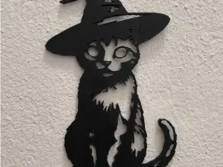 Wizard Cat