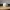Globe Vase – Ribbed Compass Design, 150 mm Desk Decor